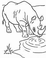Rinoceronte Colorir sketch template