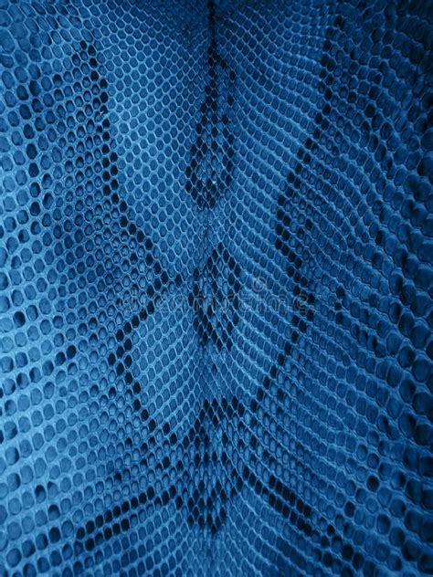 snake skin pattern toned classic blue color stock photo image