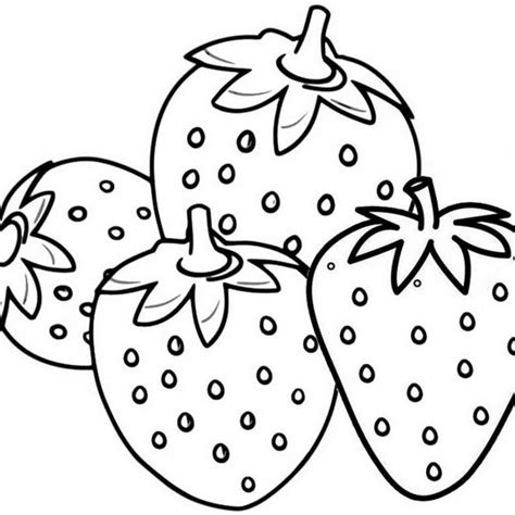 strawberry fruit coloring page  sasa mitraland