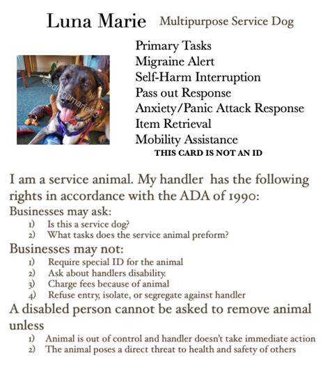 service dog  cards etsy