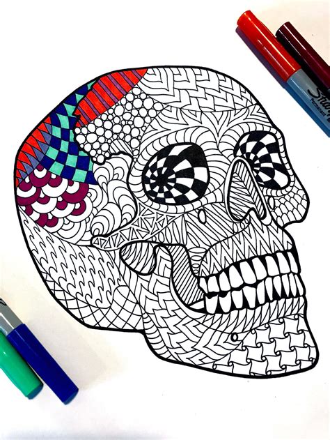 skull  anatomy coloring page etsy
