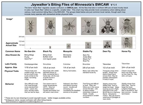 bwca bwca biting fly identification chart boundary waters listening point general discussion