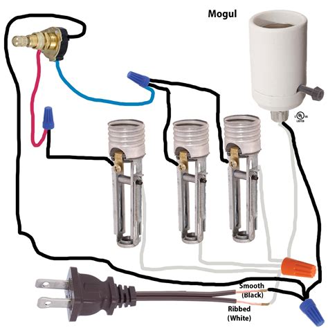 circuit  terminal lamp socket wiring diagram lamp parts  repair