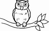 Burung Hantu Buho Putih Hitam Sketsa Kolase Coruja Diwarnai Mewarnai Paud Warnai Pintarcolorir Buhos Owls Google Colouring Papan Pilih Precioso sketch template