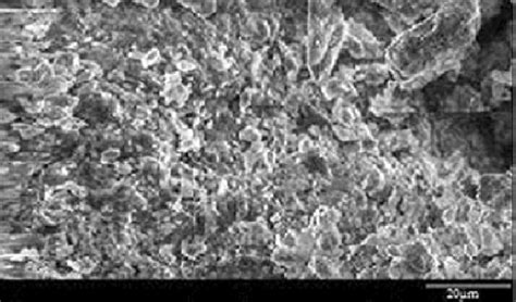 sem image displaying  morphology  natural clinoptilolite nc