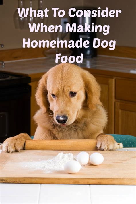 making homemade dog food
