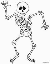 Skeleton Coloring Skelett Skeletons Anatomy Getdrawings Malvorlagen Cool2bkids Ausdrucken Kostenlos sketch template