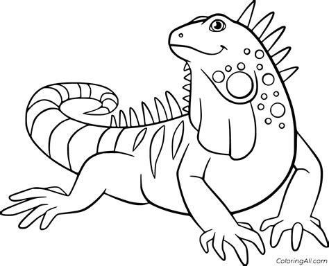 iguana coloring pages   printables coloringall