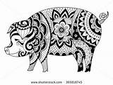 Coloring Zentangle Adult Pig Pages Drawing Book Colouring Para Colorear Vector Mandala Mandalas Cochon Adults Dibujos Animals Cerdo Animal Decorations sketch template