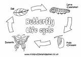 Cycle Butterfly Life Colouring Coloring Kids Sheets Butterflies sketch template