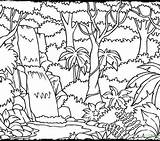 Rainforest Drawing Jungle Coloring Kids Pages Layers Printable Endangered Species Getcolorings Amazon Color Drawings Paintingvalley Print Getdrawings Colorings sketch template