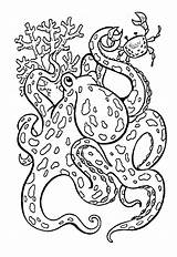 Octopus Coloring Pages Mermaid sketch template