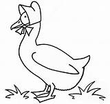 Coloring Goose Cartoon Funny Pages Realistic Children sketch template