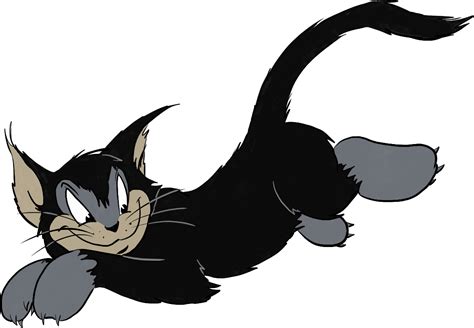 tom  jerry black cat