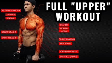 science based upper body workout  growth chestbackarms