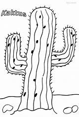 Kaktus Ausmalbilder Malvorlagen Druckbare sketch template