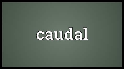 caudal meaning youtube
