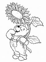 Coloring Pages Pooh Winnie Thanksgiving Getcolorings sketch template