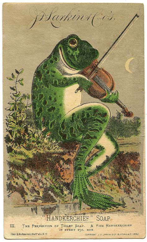 vintage image fabulous frog  violin  graphics fairy