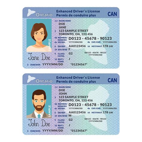 canada fake drivers license  sale buypassportsonlinecom