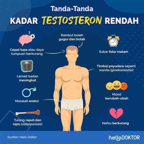 Hormon Testosteron Normal Berapa Kadar Yang Ideal Untuk Lelaki