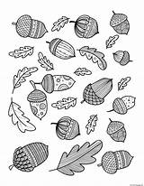 Coloring Acorn Leaf Doodle Autumn Fall Pages Adults Printable Oak Print Book sketch template