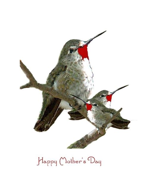 custom mothers day hummingbird card  mom  ladywholovesbirds