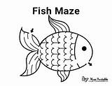 Maze Fish Mazes Printable Museprintables Activity Kids Worksheets Preschool Printables Sheets Sheet Worksheet Paper Cool sketch template