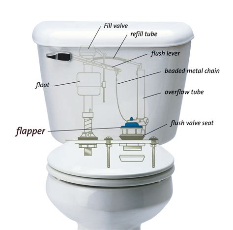 toilet system diagram