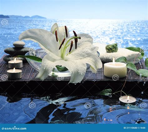 sea spa stock foto image  daling brandwond lotusbloem