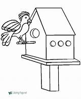 Coloring Bird Pages House Birdhouse Birds sketch template