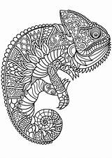 Mandala Animal Coloring Pages Kids Chameleon sketch template