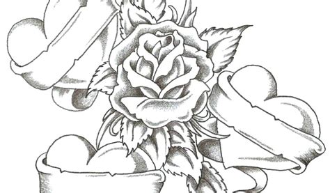 coloring pages  adults roses  getdrawings