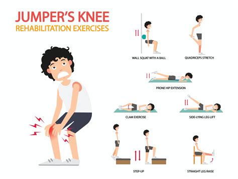 jumpers knee rehabilitation exercises infographic illustration