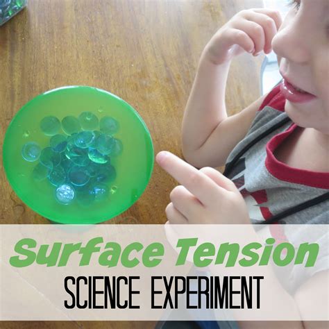 surface tension science experiments  preschoolers