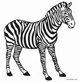 Malvorlage Tiere Zebras Malen Kostenlose Malvorlagen Stripes Cool2bkids Zeichnung Afrika sketch template