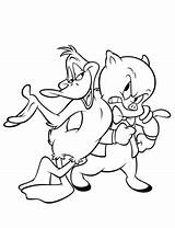 Porky Pato Daffy Cerdo Melodie Cerdito Looney Tunes Kaczor Duffy Colorir Prosiak Gratis Zwariowane Drukuj sketch template