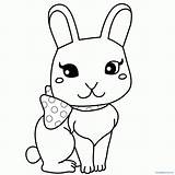 Conejos Conejo Bunnies Rabbit Pintar Anipedia sketch template