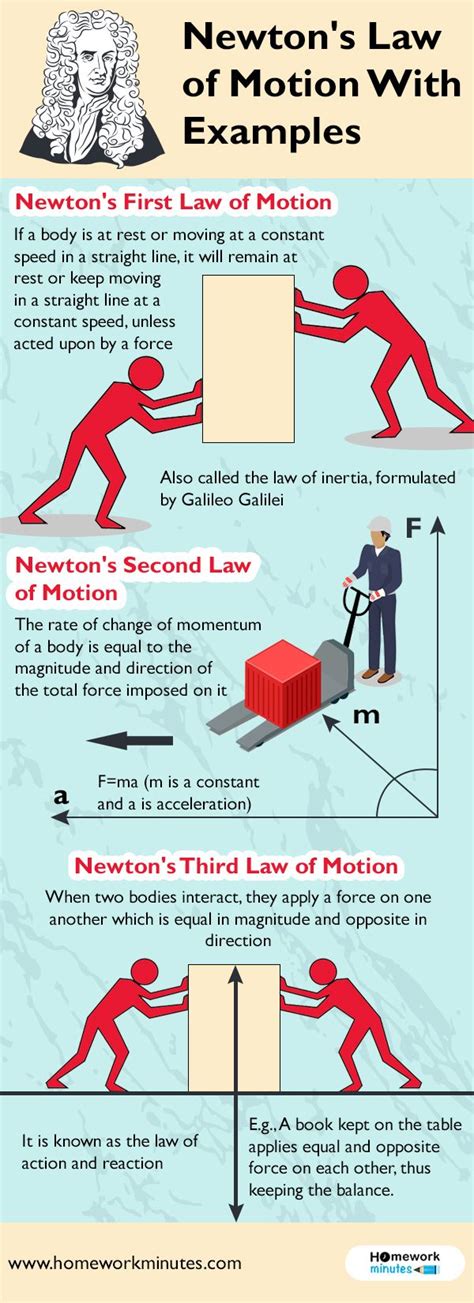 newtons law  motion  examples newtons laws newtons laws  motion infographic