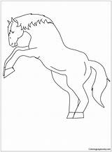 Horse Pages Rearing Coloring Training Boy Color Coloringpagesonly sketch template