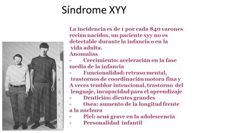sindrome xyy pdf