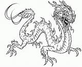 Coloring Dragon Pages Adult Flying Printable Pdf sketch template