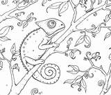 Coloring Chameleon Printable Pages Coloringbay sketch template