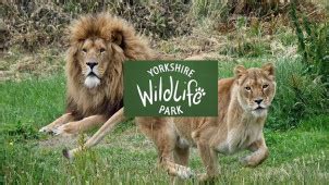 yorkshire wildlife park vouchers discounts