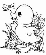 Coloring Duck Pages Baby Animal Easter Kids Printable Spring Line Ducks Book Cute Color Easy Zoo Animals Drawings Getcolorings Dragonfly sketch template