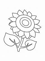 Coloring Sunflower Pages Flower Color Recommended sketch template