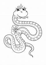 Schlange Schlangen Malvorlagen Drucken Malvorlage Malen Kinderbilder Verwandt Tiere sketch template