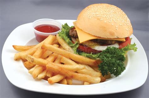 hamburger  fries stock photo image  tasty sandwich