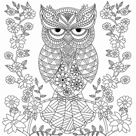 owl coloring pages   owl coloring pages  adults  detailed