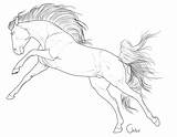 Horse Lineart Horses Coloring Pages Drawing Drawings Outline Deviantart Bh Stables Choose Board sketch template